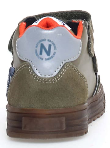 Naturino Leren sneakers "Ariton" kaki/oranje