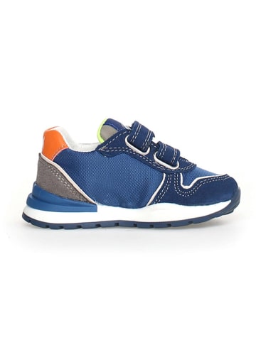 Naturino Leder-Sneakers "Argal" in Bunt/ Dunkelblau
