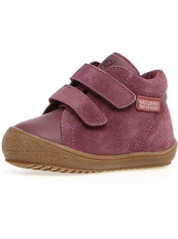 Naturino Leder-Sneakers "Raintastik" in Altrosa
