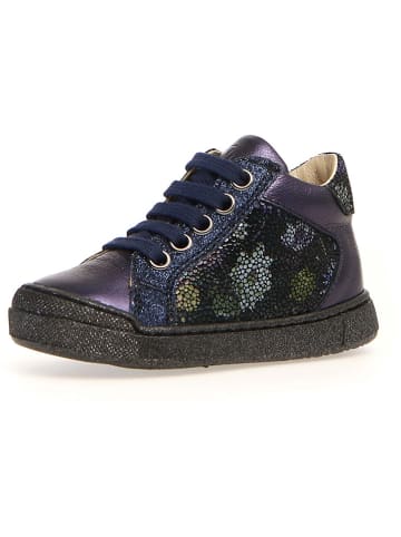 Naturino Leder-Sneakers "Goey" in Dunkelblau
