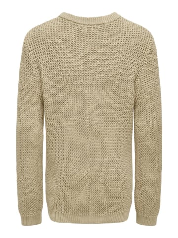 KIDS ONLY Trui "Bob" beige