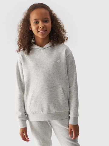 4F Hoodie in Grau