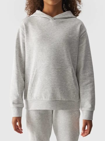4F Hoodie in Grau