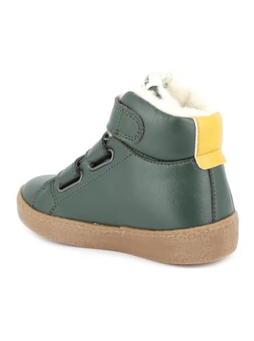 Primigi Leren sneakers groen