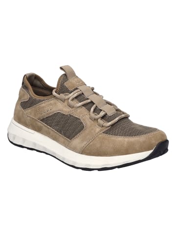 Josef Seibel Leder-Sneakers in Beige/ Braun