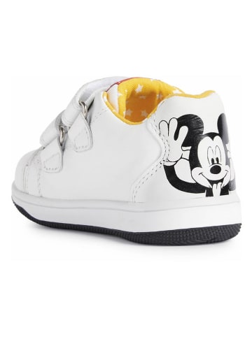 Geox Leren sneakers "New Flick" wit