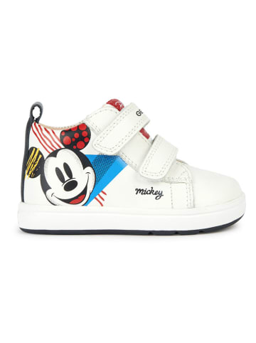 Geox Leder-Sneakers "Biglia" in Weiß