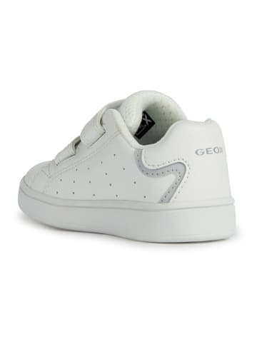 Geox Sneakers "Eclyper" in Weiß