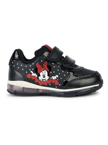 Geox Sneakers "Todo" in Schwarz