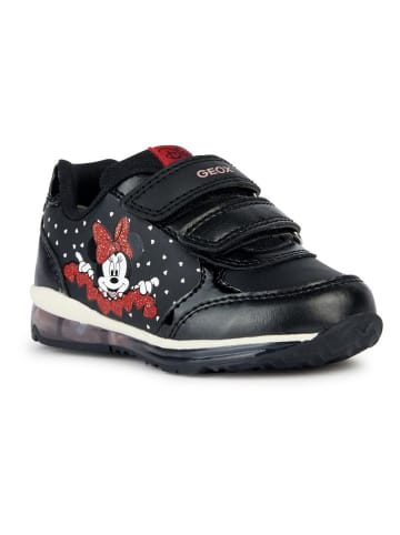 Geox Sneakers "Todo" in Schwarz