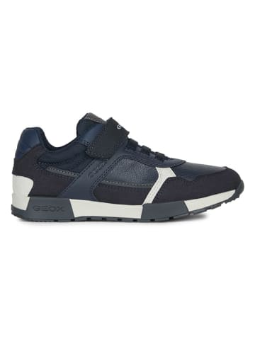 Geox Sneakers "Alfier" in Dunkelblau