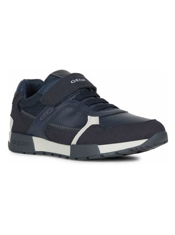 Geox Sneakers "Alfier" in Dunkelblau