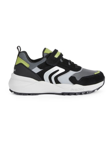 Geox Sneakers "Heevok" in Bunt