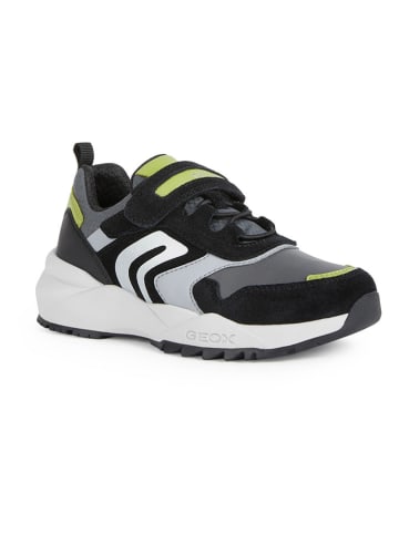 Geox Sneakersy "Heevok" ze wzorem