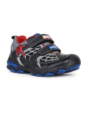 Geox Sneakersy "Buller" ze wzorem