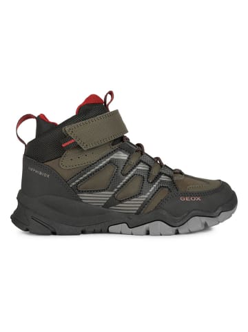 Geox Botki zimowe "Montrack' w kolorze khaki