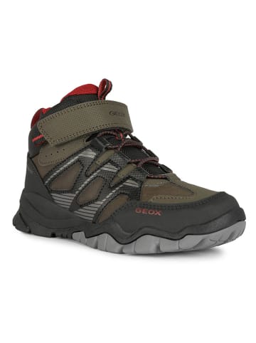 Geox Botki zimowe "Montrack' w kolorze khaki
