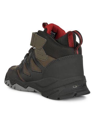 Geox Botki zimowe "Montrack' w kolorze khaki