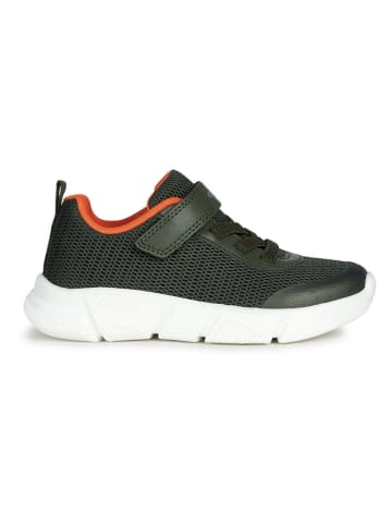Geox Sneakers "Aril" in Khaki