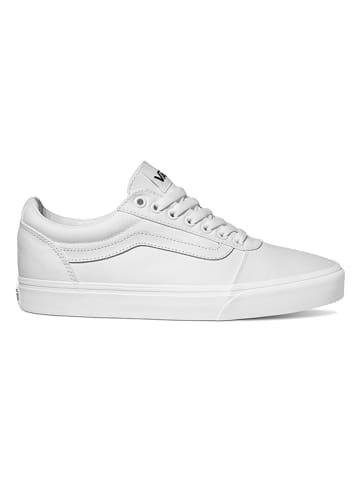 Vans Sneakers "Ward" wit