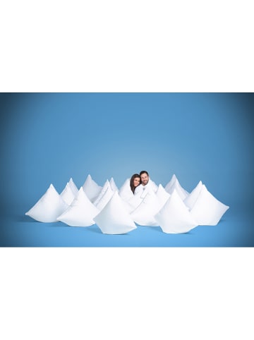 Häussling Bettwaren Winterdonsdekbed "Grönland" wit