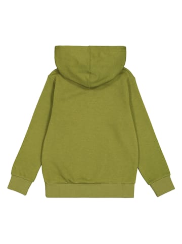 Champion Hoodie in Khaki