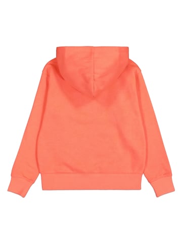 Champion Hoodie in Orange