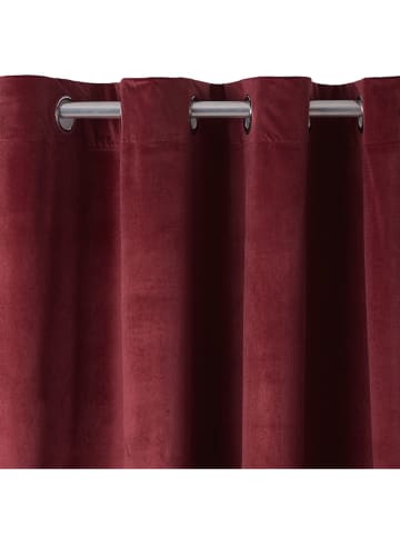 Chic Home Gardine in Bordeaux - (L)270 x (B)140 cm