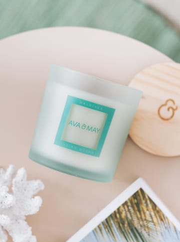 AVA & MAY Duftkerze "Maldives" in Mint - 380 g