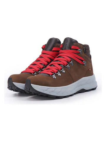 DACHSTEIN Leren wandelschoenen "Atlas GTX" bruin