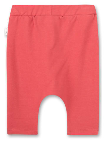 Sanetta Kidswear Hose in Pink