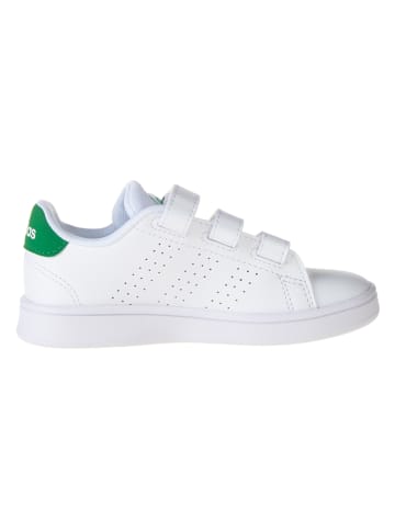 adidas Sneakers "Advantage" in Weiß