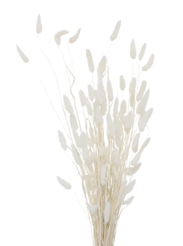 Boltze 2-delige set: decoratieve takken wit/zwart - (H)70 cm