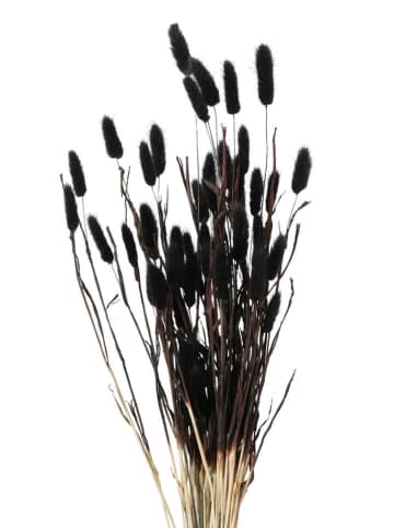 Boltze 2er-Set: Dekozweige in Weiß/ Schwarz - (H)70 cm