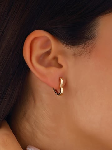 Luja Bijoux Vergulde oorringen