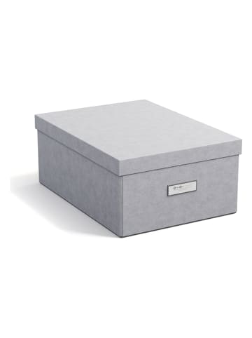 BigsoBox Ordnungsbox "Katia" in Hellgrau - (B)28,5 x (H)16 x (T)39 cm