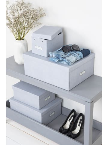 BigsoBox Ordnungsbox "Katia" in Hellgrau - (B)28,5 x (H)16 x (T)39 cm