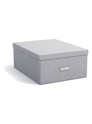 BigsoBox Ordnungsbox "Katrin" in Hellgrau - (B)34,5 x (H)18,5 x (T)45 cm