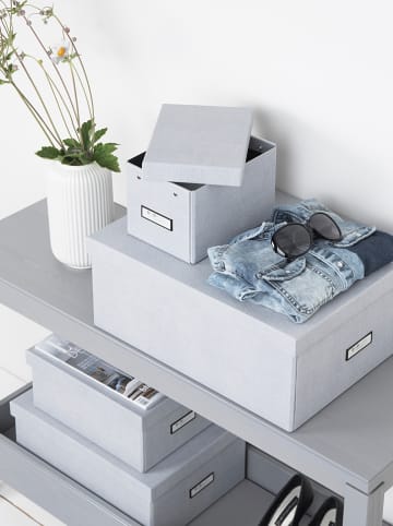 BigsoBox Sorteerbox "Katrin" lichtgrijs - (B)34,5 x (H)18,5 x (D)45 cm