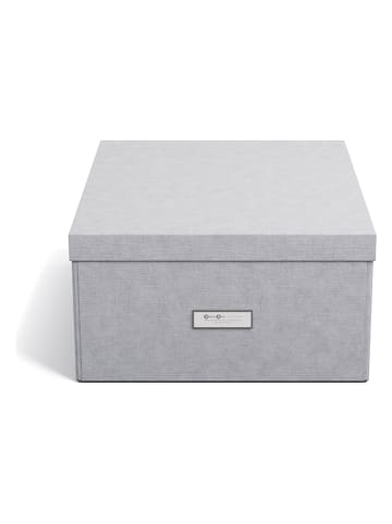 BigsoBox Sorteerbox "Katrin" lichtgrijs - (B)34,5 x (H)18,5 x (D)45 cm