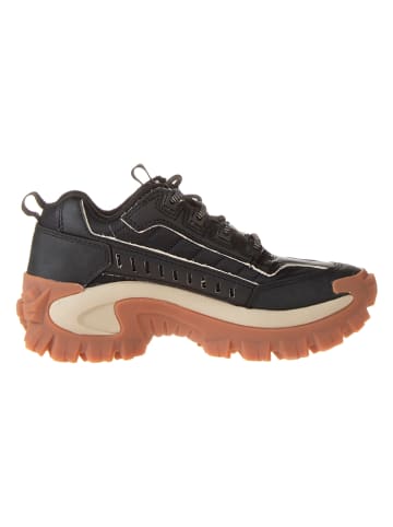 CAT Leder-Sneakers "Eco Intruder" in Schwarz