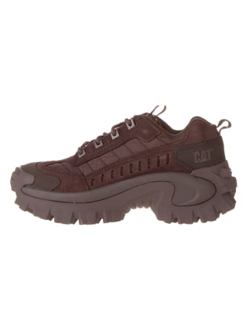CAT Leder-Sneakers "Intruder" in Dunkelbraun