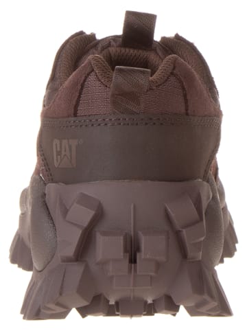 CAT Leder-Sneakers "Intruder" in Dunkelbraun