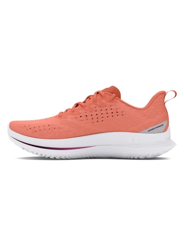 Under Armour Laufschuhe "Velociti 4" in Orange