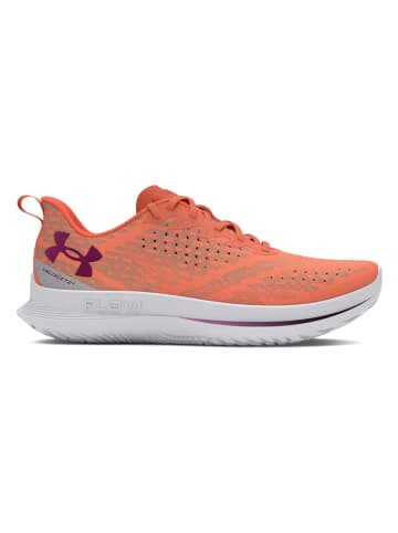 Under Armour Laufschuhe "Velociti 4" in Orange