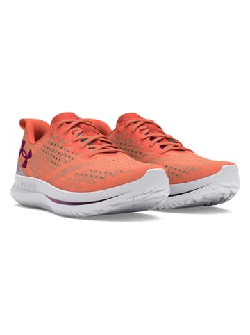 Under Armour Laufschuhe "Velociti 4" in Orange