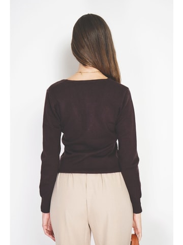 William de Faye Vest bruin