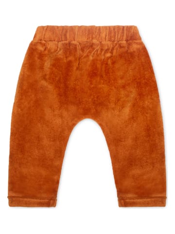 Moodstreet Fleece-Hose in Braun