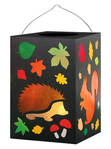 URSUS Laternen-Bastelset "Waldtiere" in Bunt