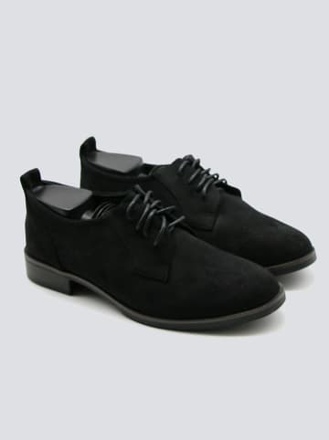 Bellucci Schnürschuhe in Schwarz
